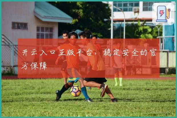 开云入口正版平台，稳定安全的官方保障