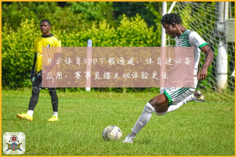 开云体育app下载通道，体育迷必备应用，赛事直播互动体验更佳