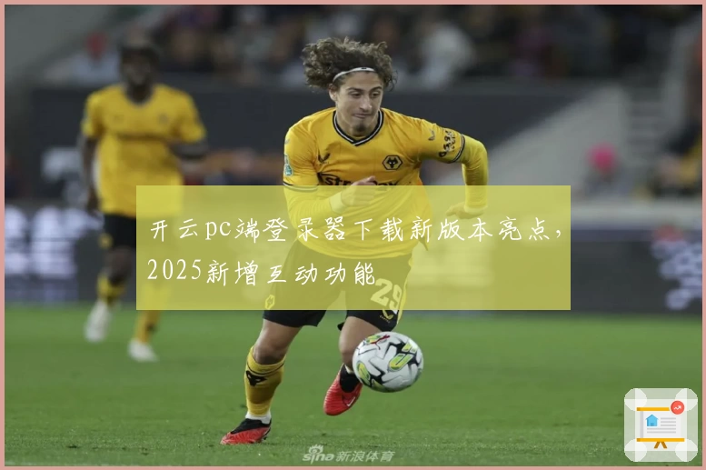 开云pc端登录器下载新版本亮点，2025新增互动功能