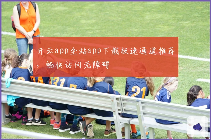 开云app全站app下载极速通道推荐，畅快访问无障碍