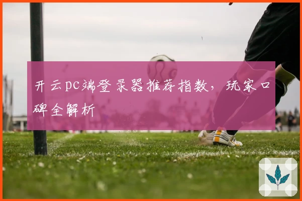 开云pc端登录器推荐指数，玩家口碑全解析